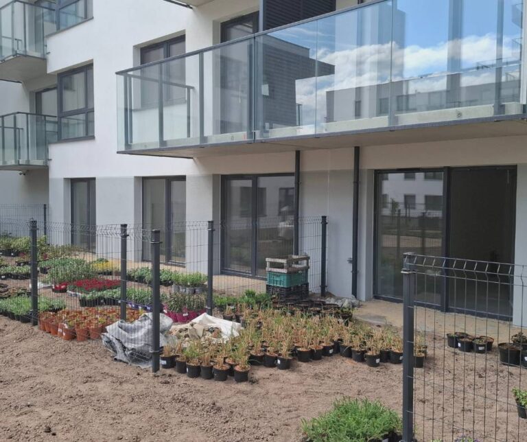 Rośliny przygotowane do nasadzeń w patio - STO10 CHYLOŃSKA 3 etap - maj 2026